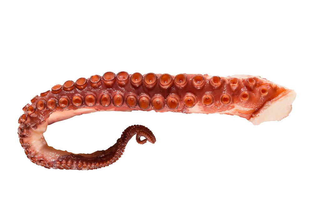 Oktopus Tentakel  115-180 g