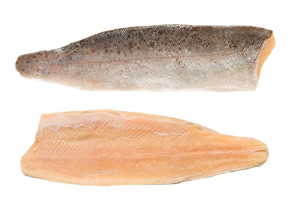 Forellenfilets