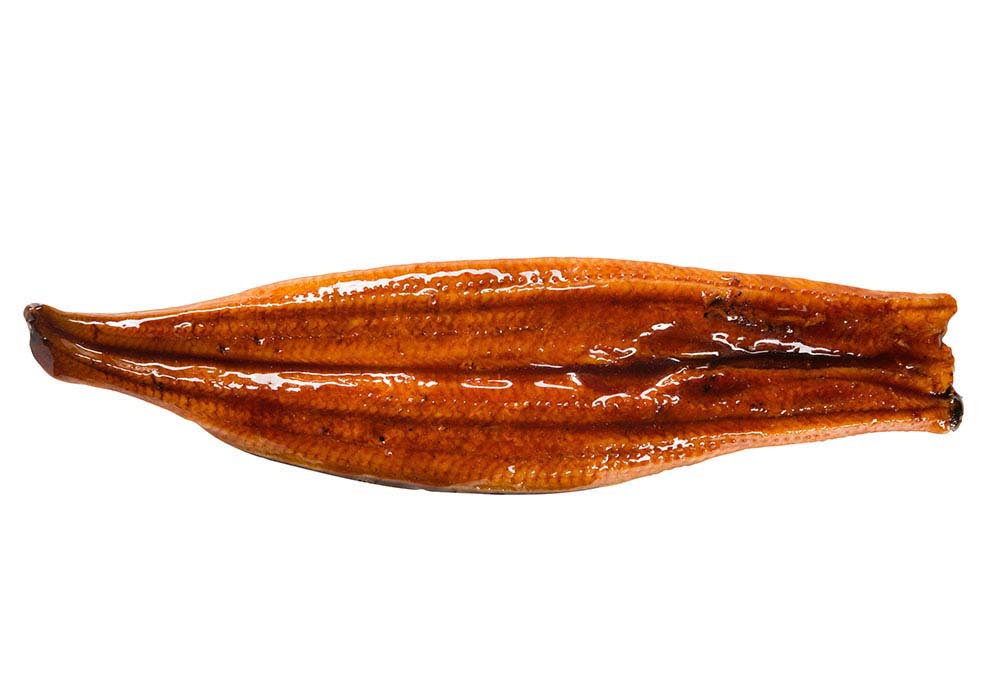 Unagi Kabayaki