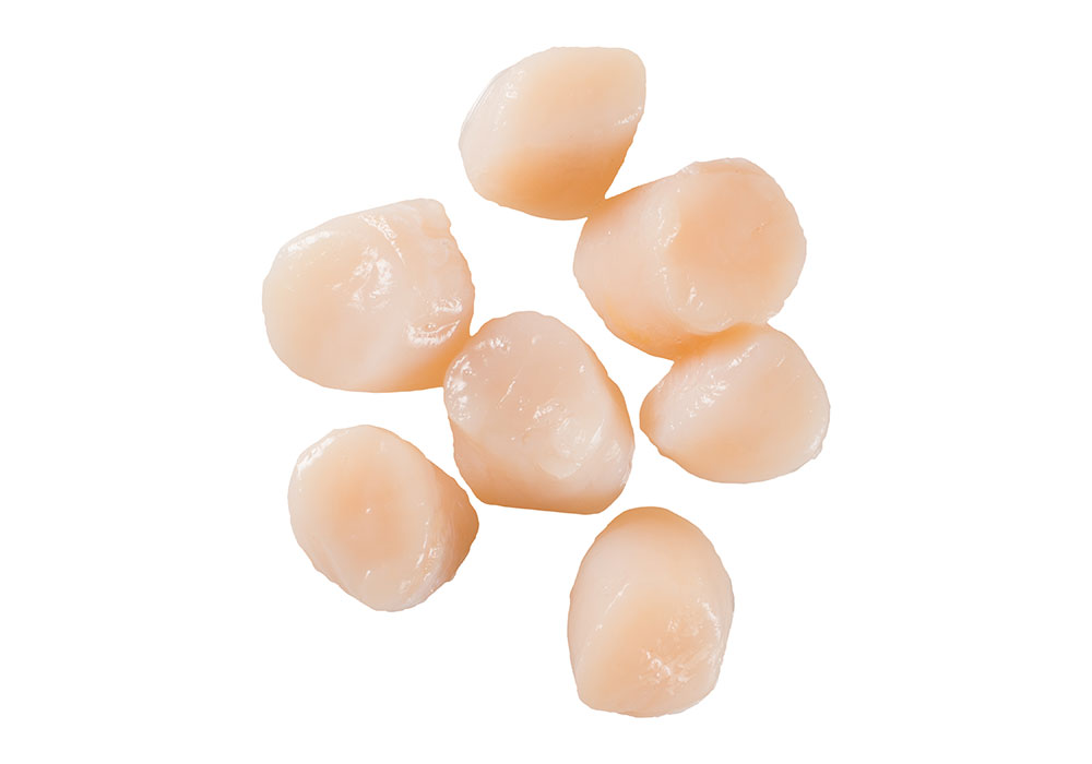 Scallops 60/80