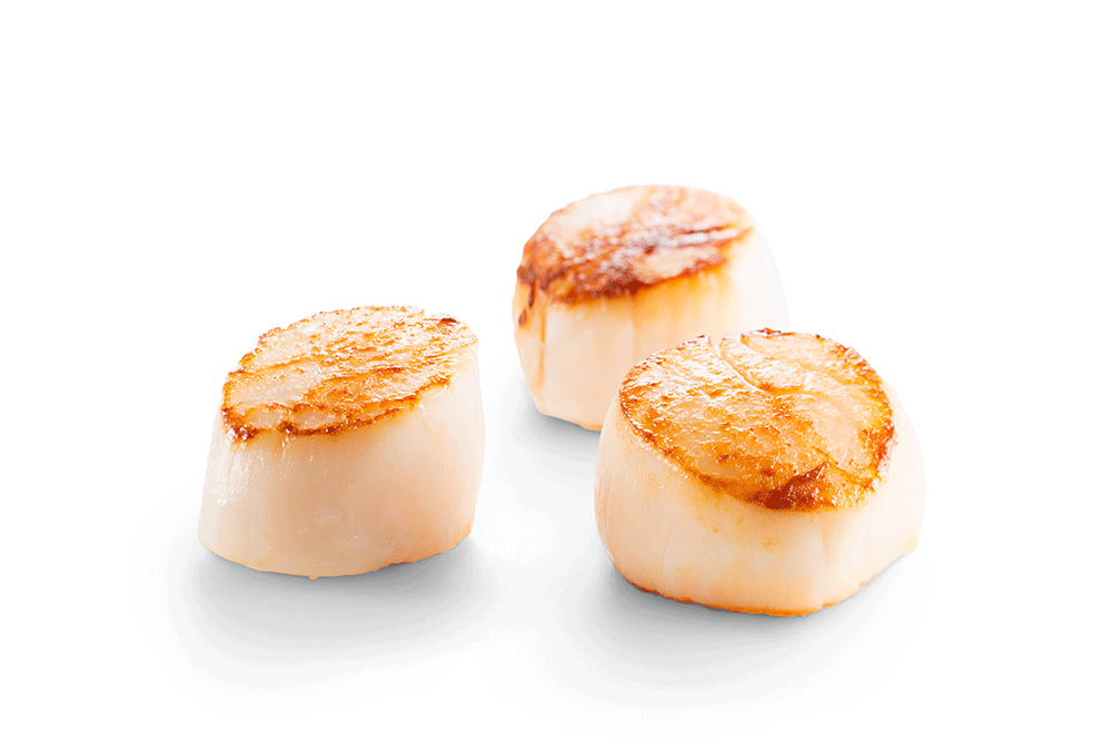 Scallops Hotate 10/20