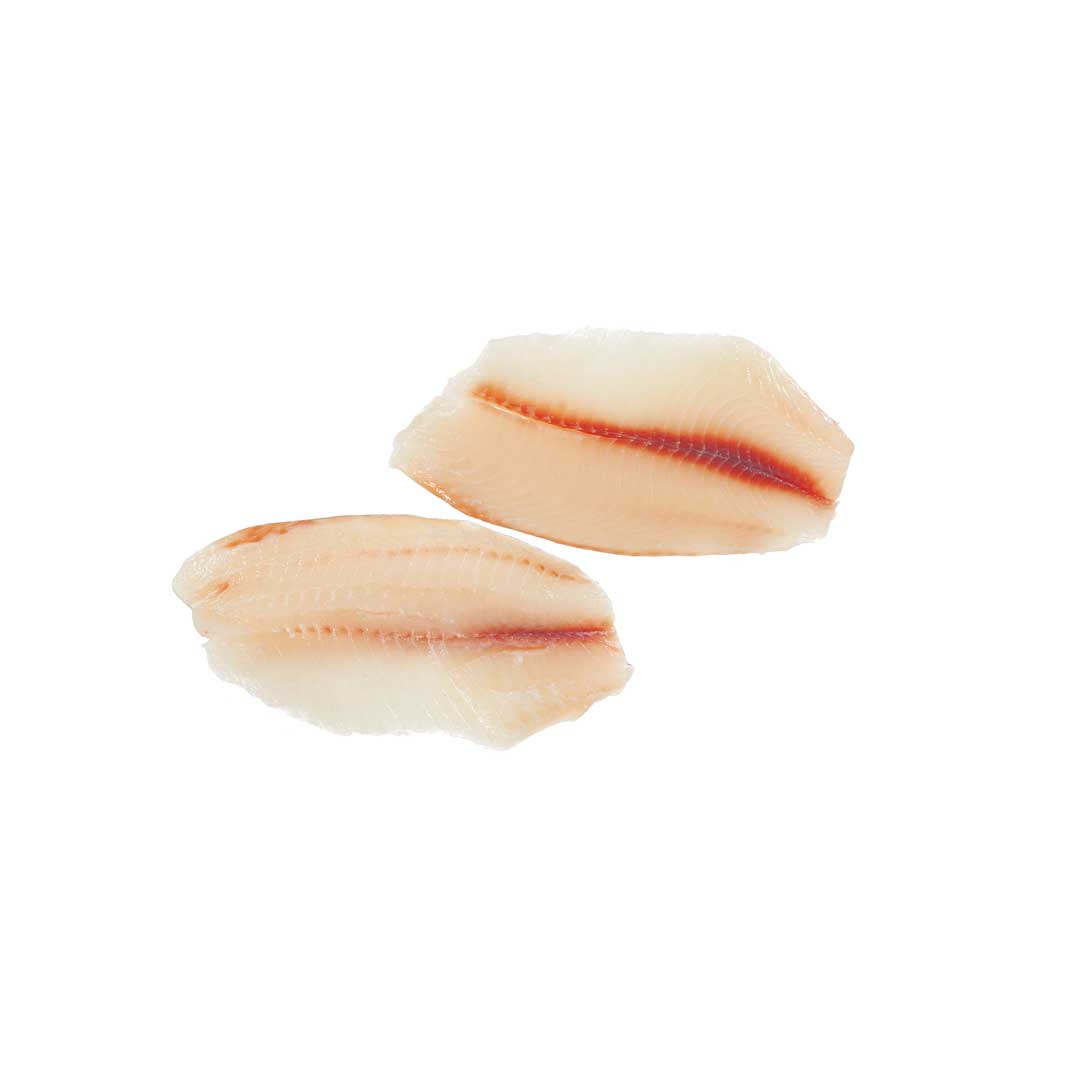 Tilapia Filet