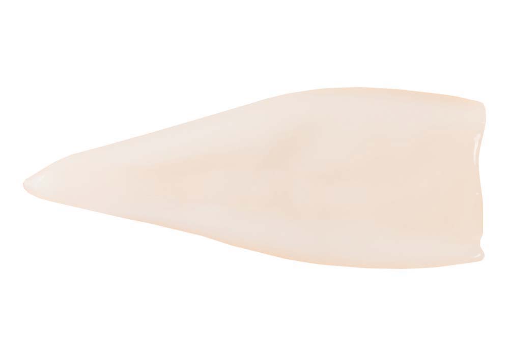 Tintenfisch-Tuben U10