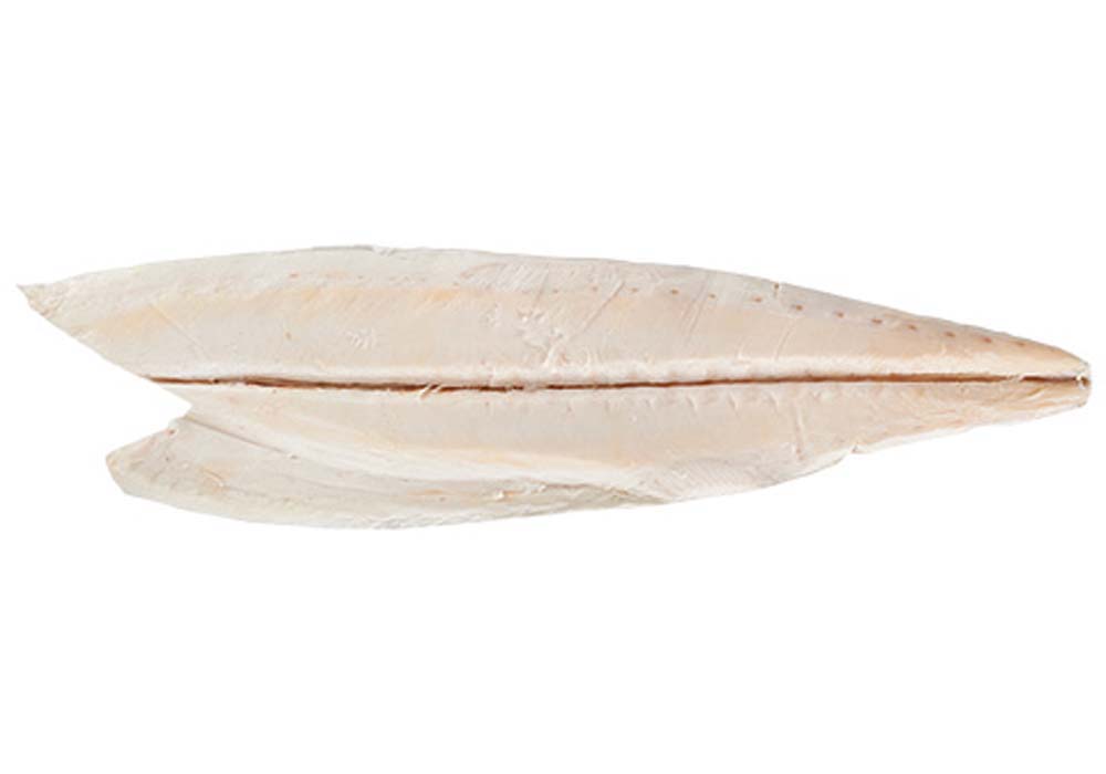 Escolar filets skin-off 2-5 kg